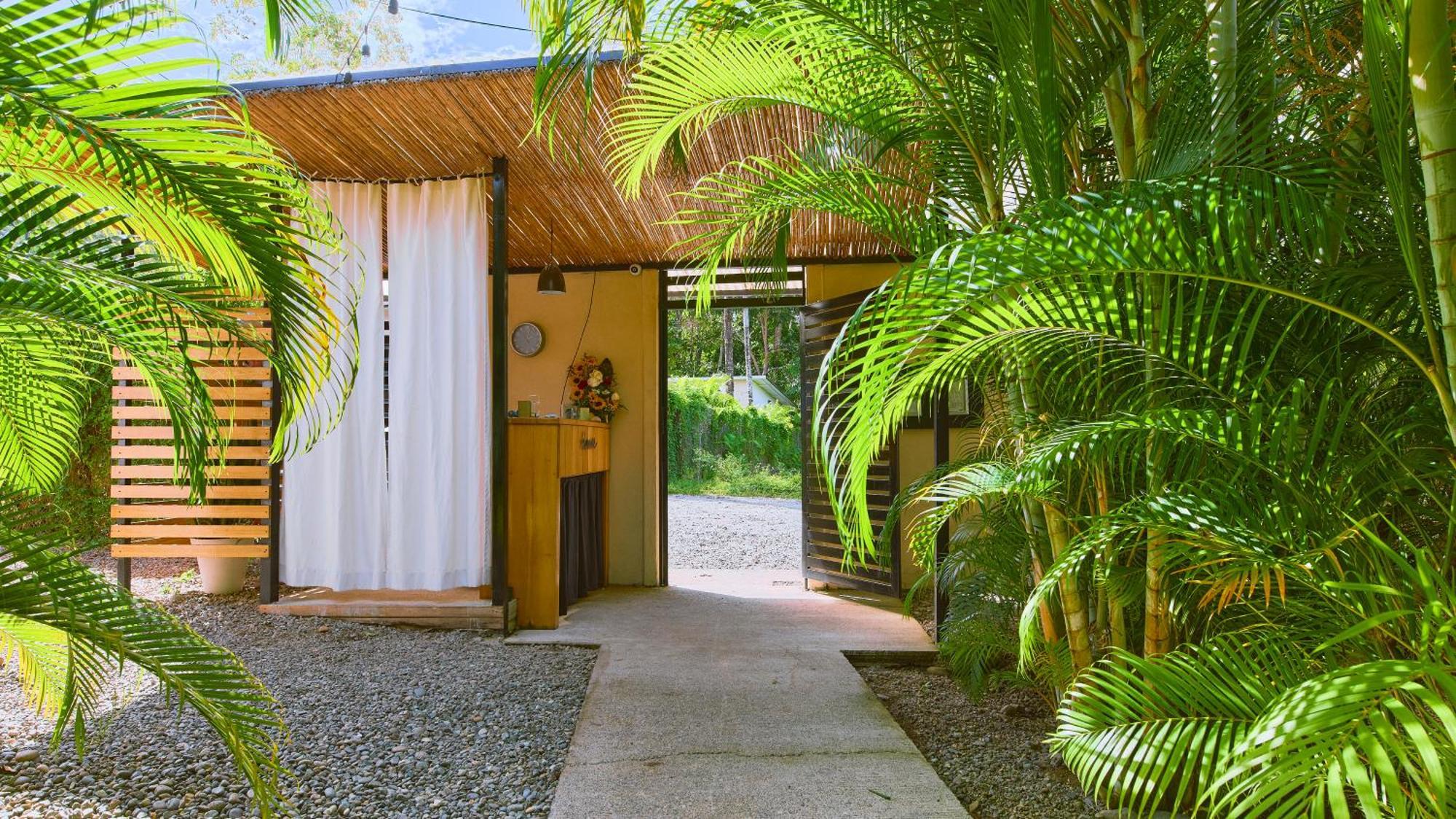 La Tica Y La Gata Hotel Puerto Viejo de Talamanca Exterior photo